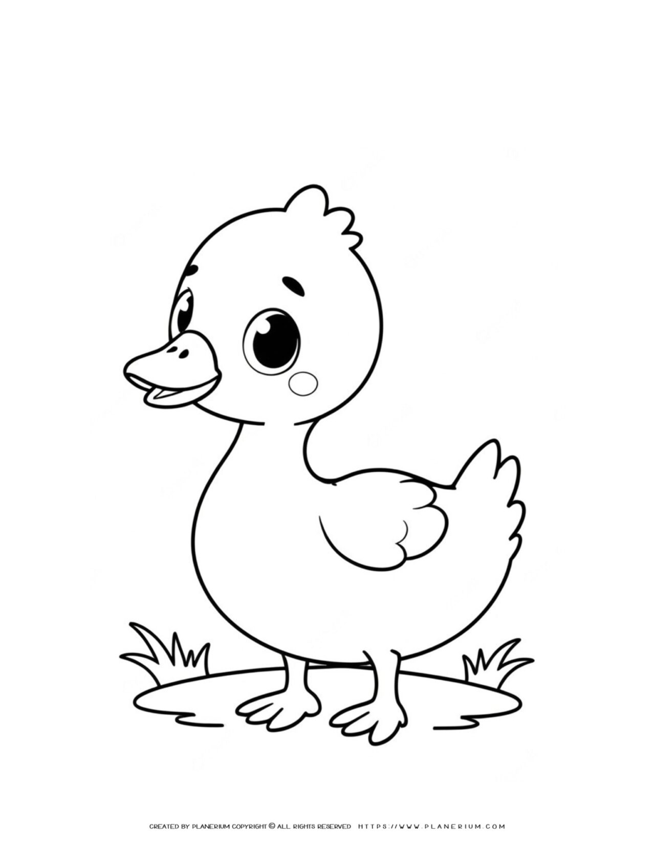 cute-baby-goose-coloring-page-for-kids