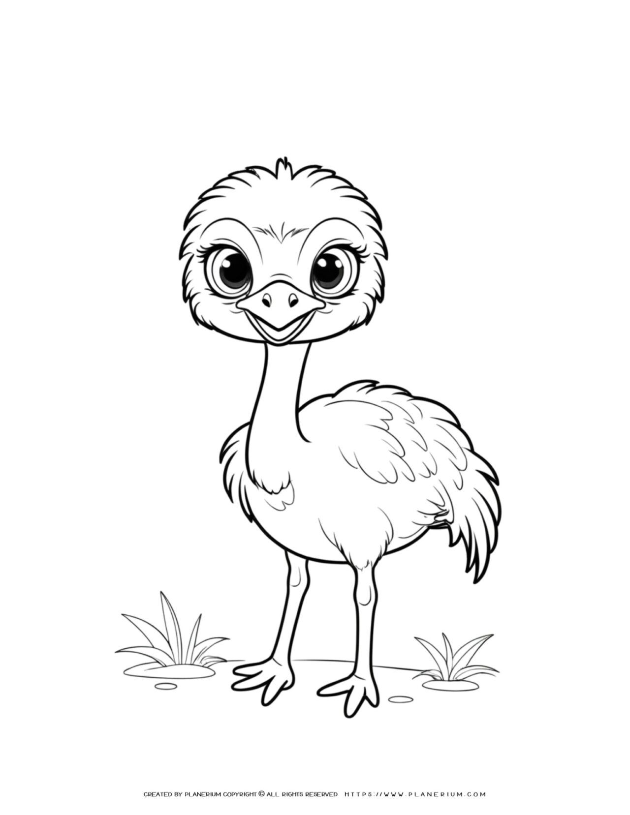 cute-happy-baby-ostrich-outline-comic-style-coloring-page-for-kids