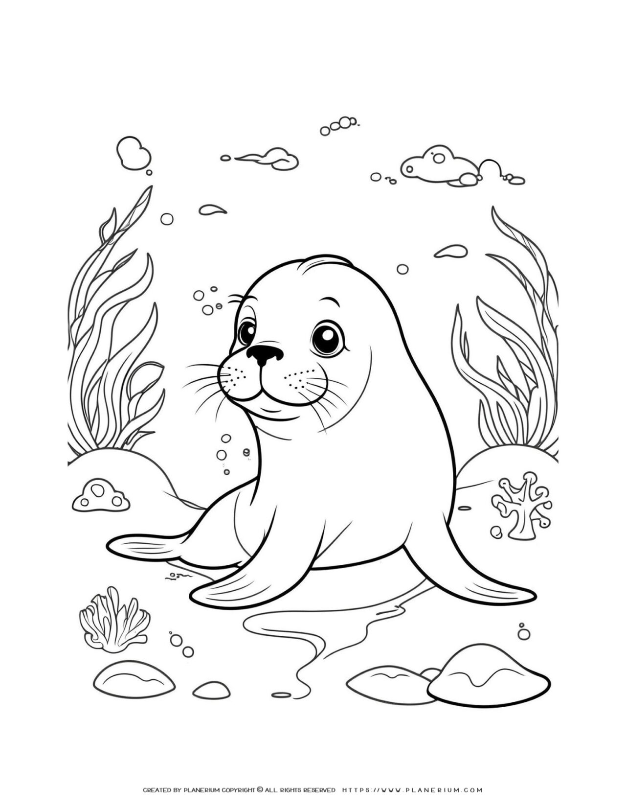 Seal-coloring-page-for-childrens-underwater-theme-activity