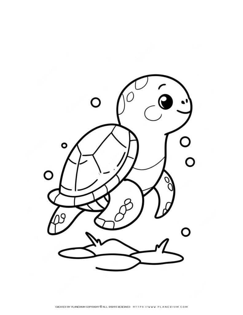 Engage with Learning & Creativity: Cartoon Turtle Coloring Page