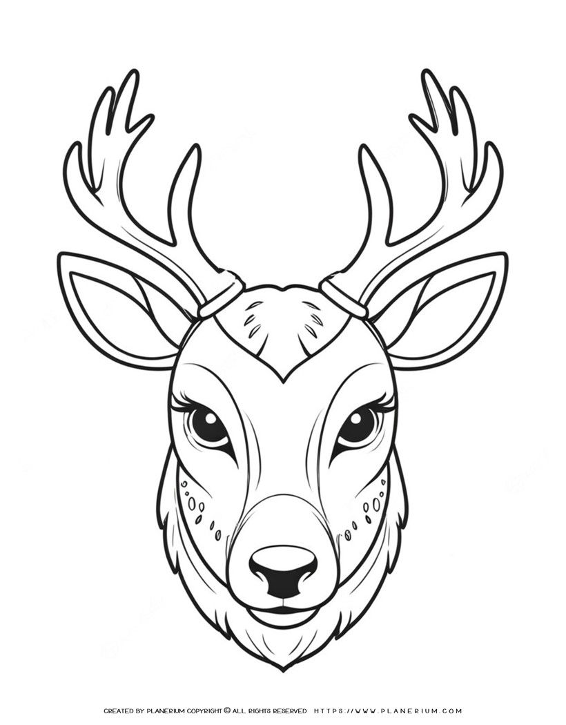 Coloring Page Deer Head Educational Printable
