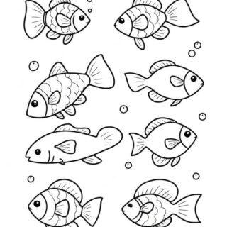Collection-of-cartoon-fish-line-art-for-coloring