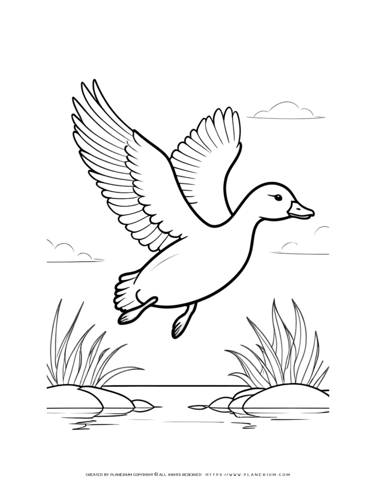 flying-goose-in-the-lake-coloring-page