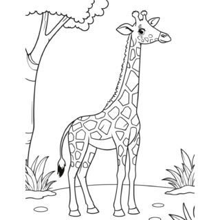 giraffe-side-view-in-nature-coloring-page-for-kids