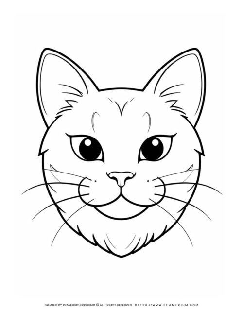 Animals Coloring Page - Cat | Planerium