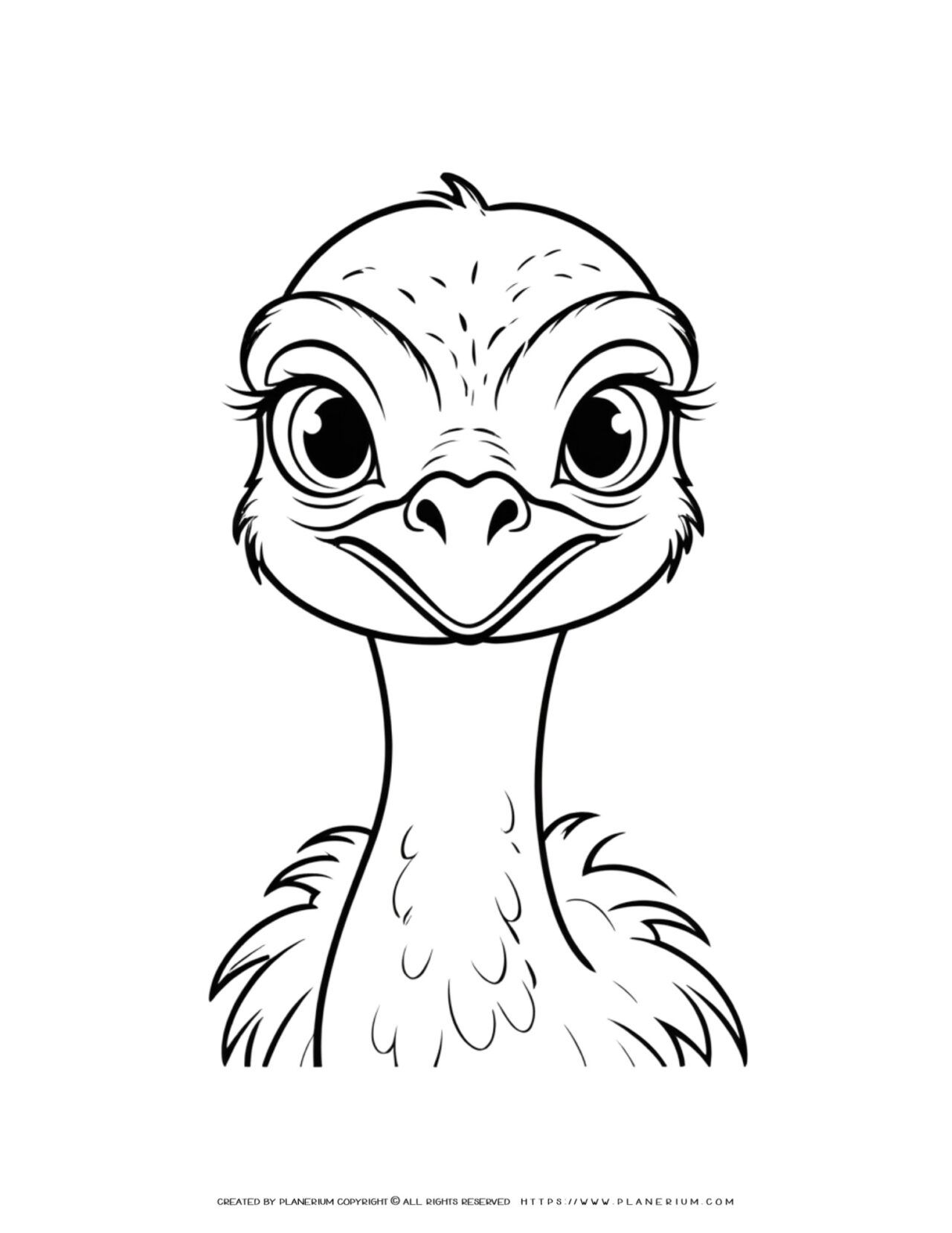 Ostrich Face Coloring Page for Kids - Fun Animal Activity