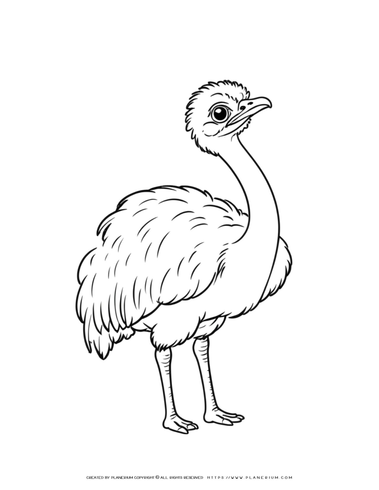 ostrich-illustration-comic-style-coloring-page-for-kids