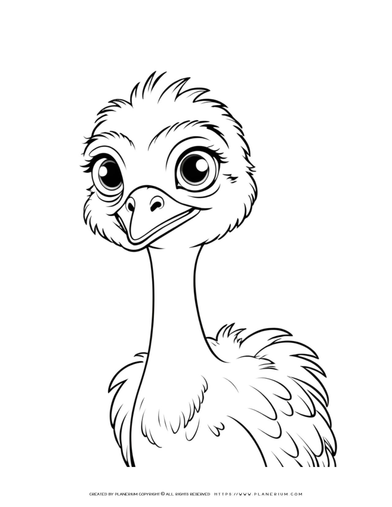 Ostrich Portrait Coloring Page For Kids Fun Animal Design For family-of-fallen-law-enforcement-officer-supports-ncc
