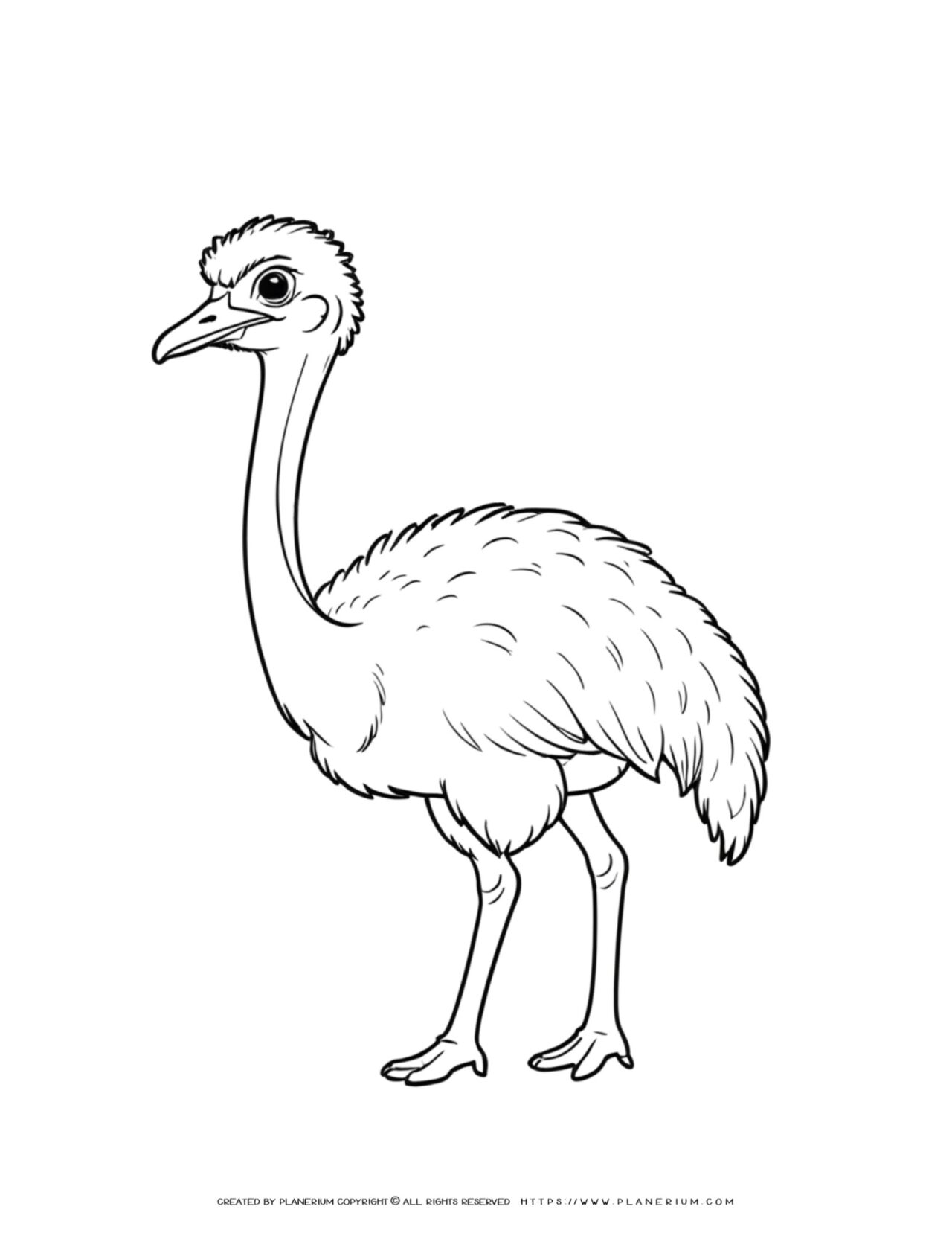 ostrich-side-view-outline-comic-style-coloring-page