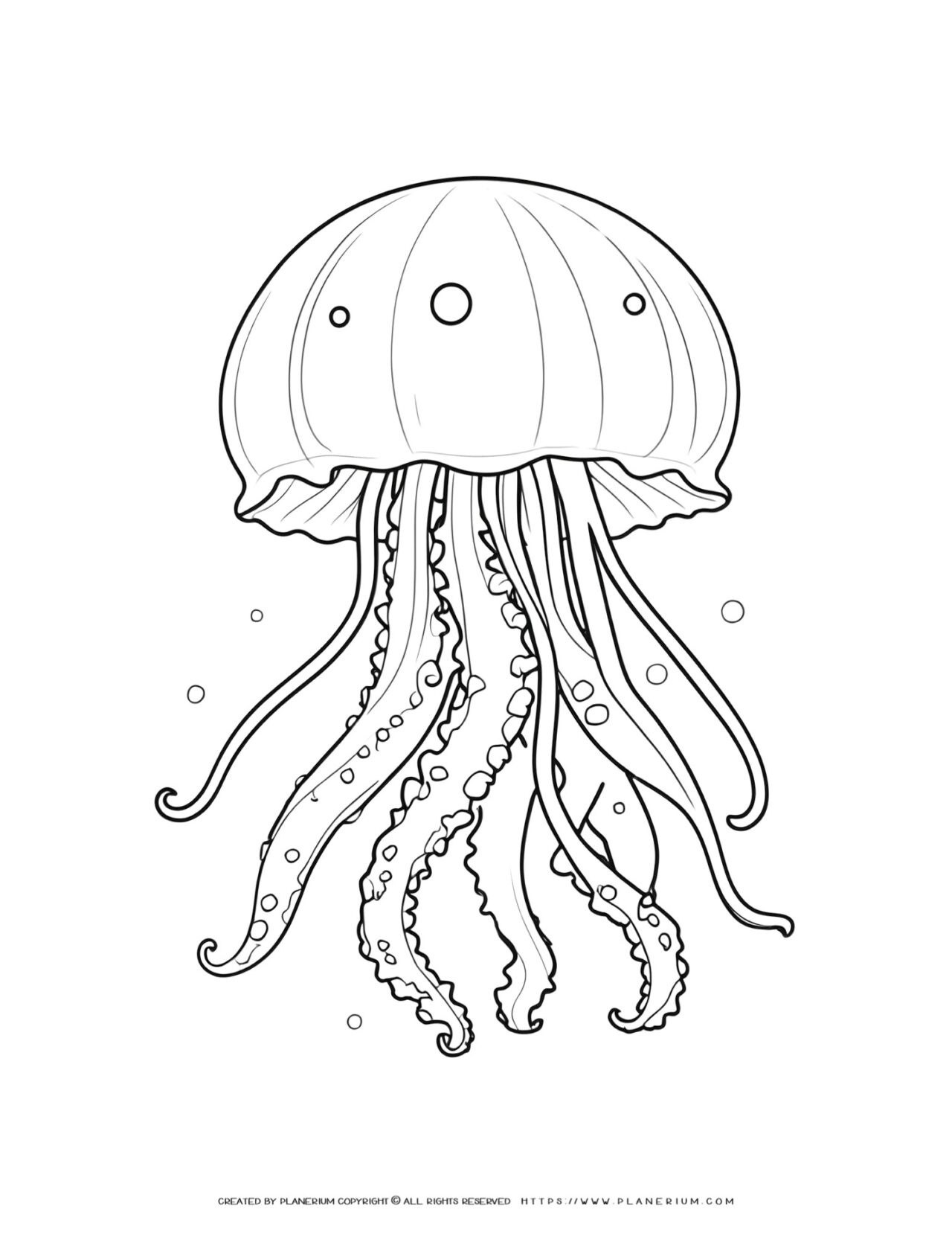 Jellyfish-coloring-page-illustration