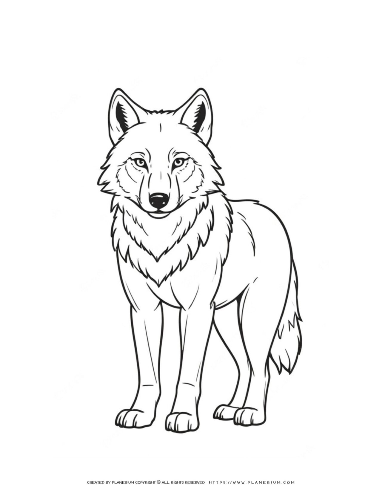 outline-wolf-realistic-style-coloring-page