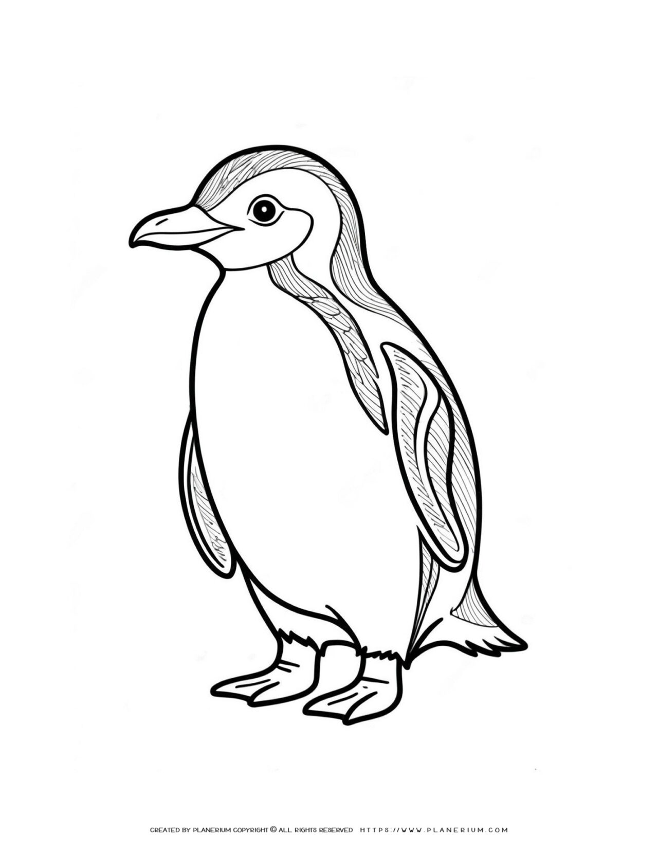 Black-and-white-penguin-illustration