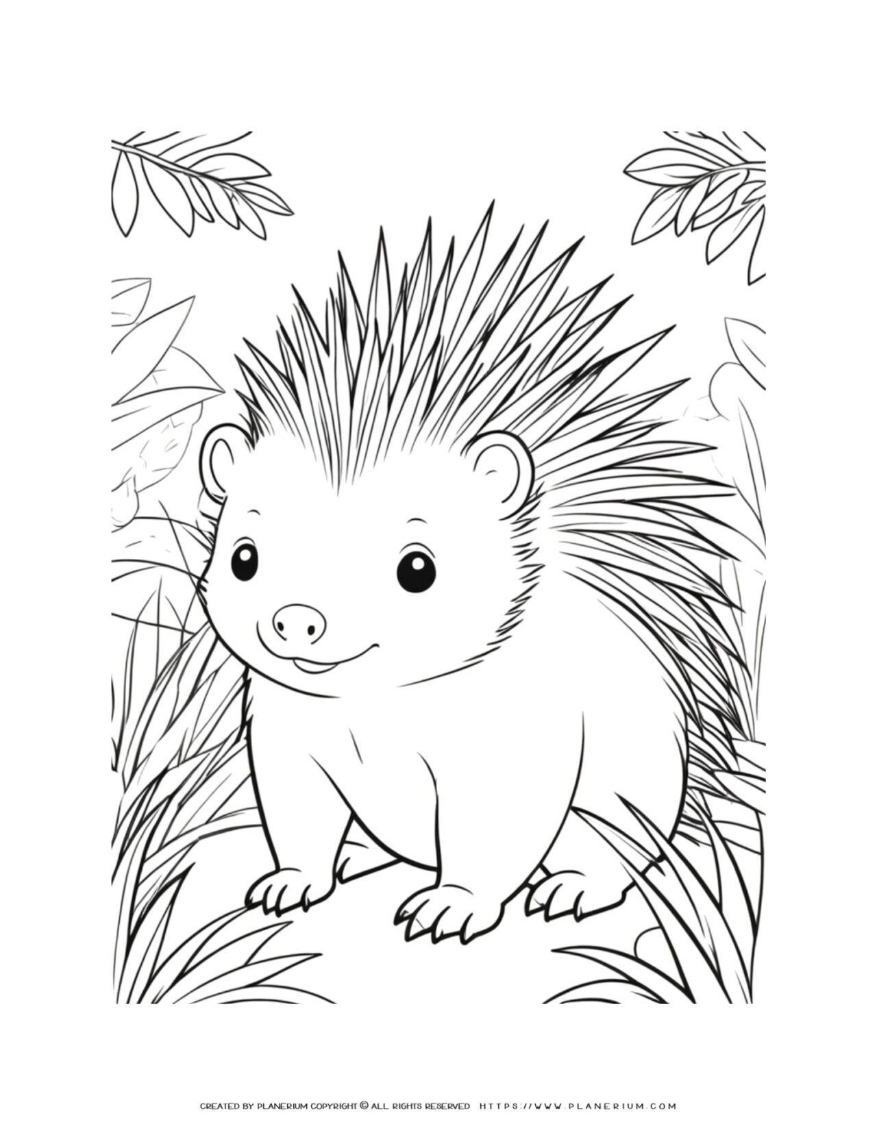 porcupine-in-the-wild-coloring-page