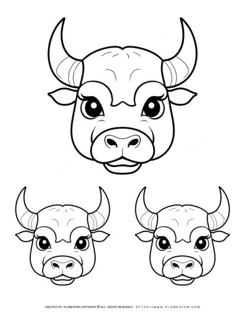 Big Bear Head Outline Printable - Perfect Craft Resource for Kids