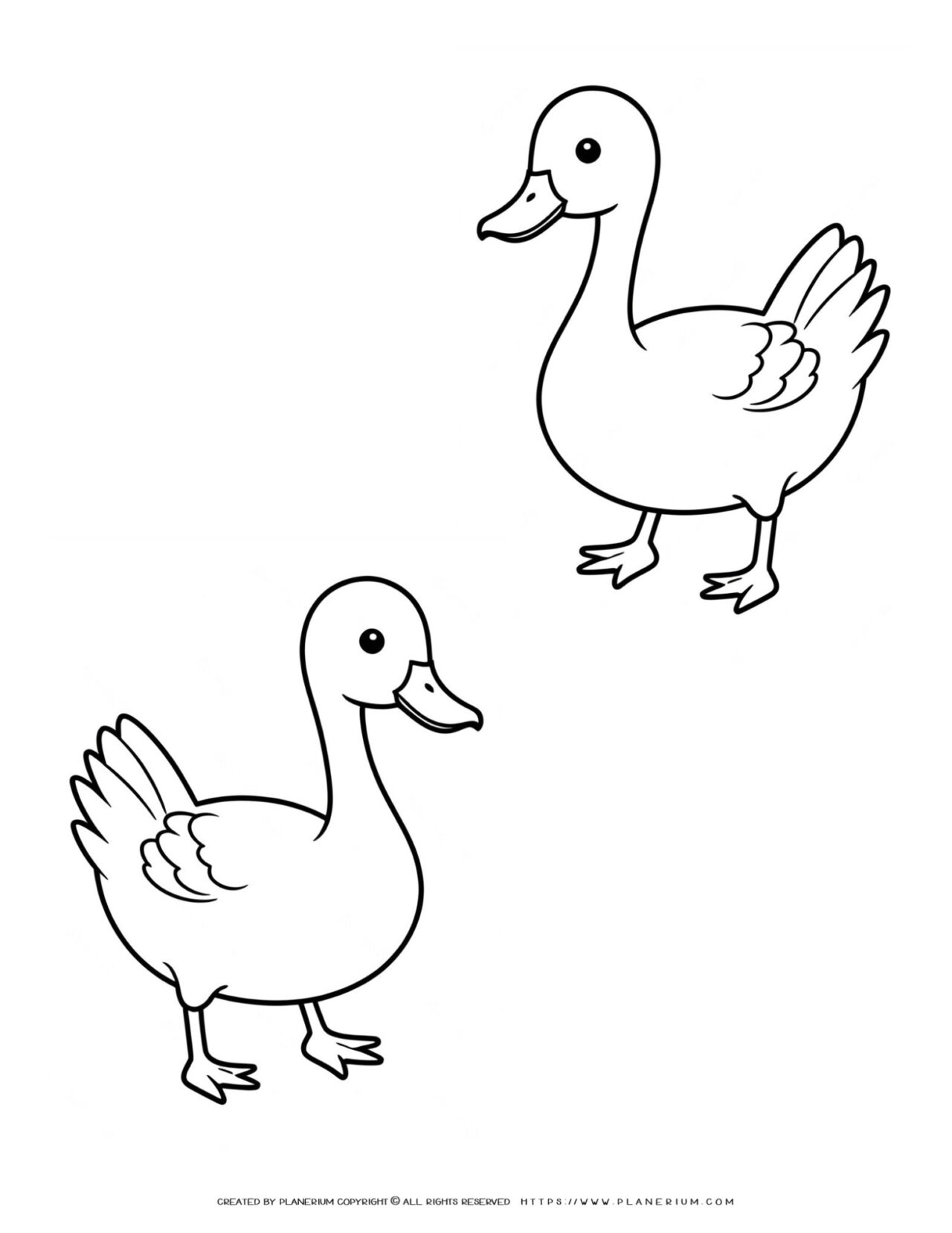 two-goose-outlines