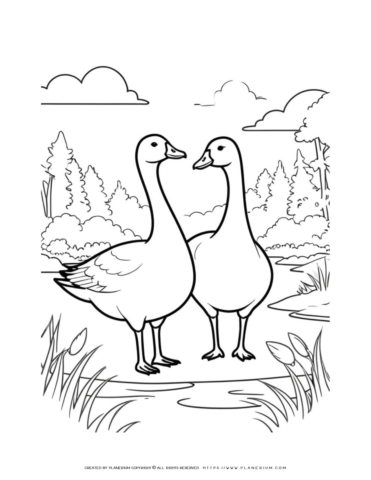 two-goose-pair-in-nature-coloring-page