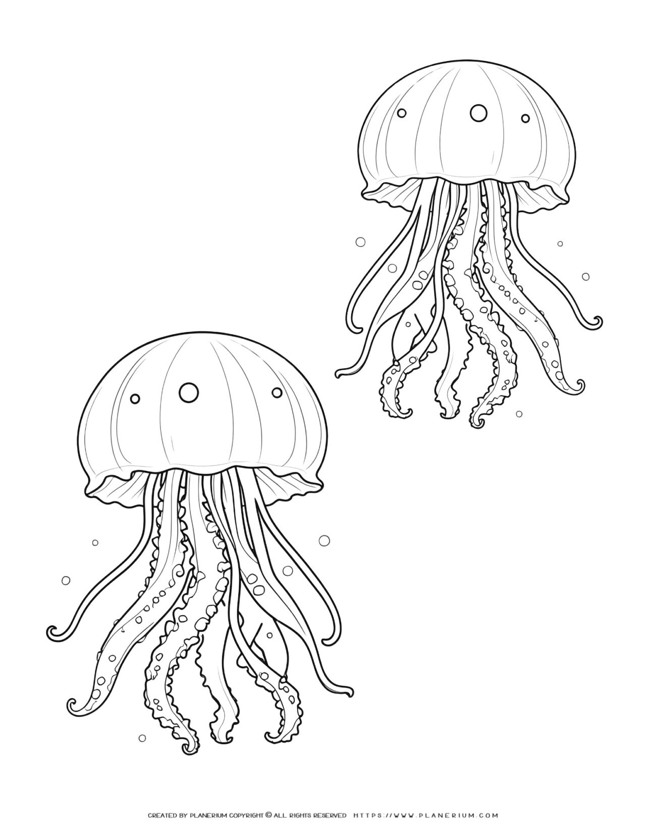 Two-jellyfish-coloring-page-illustration