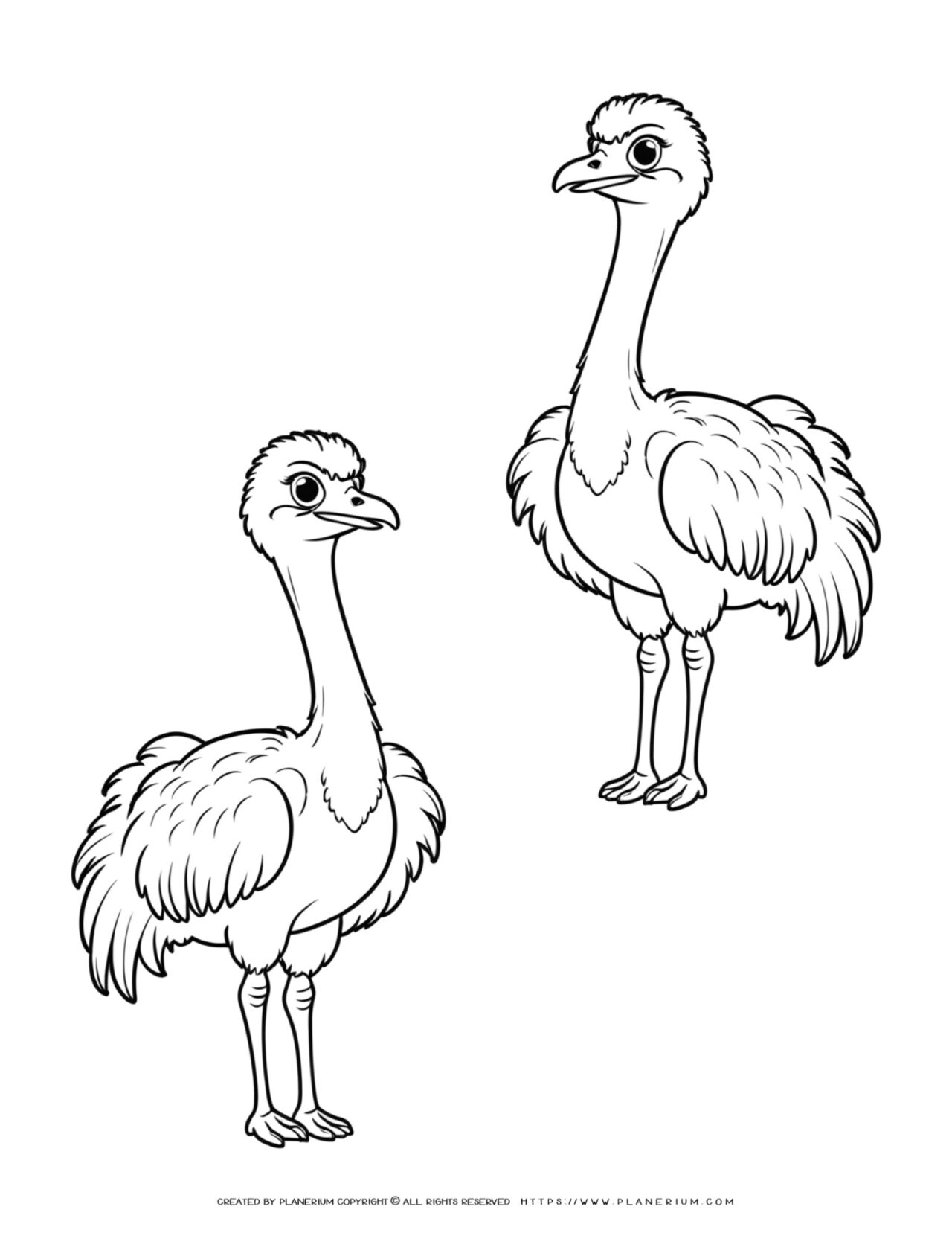 two-ostrich-standing-outline-comic-style-coloring-page-for-kids