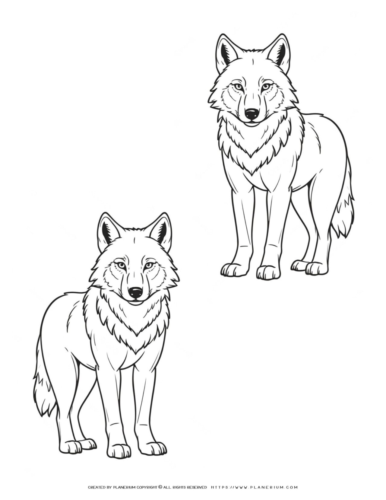 two-outline-wolf-realistic-style-coloring-page