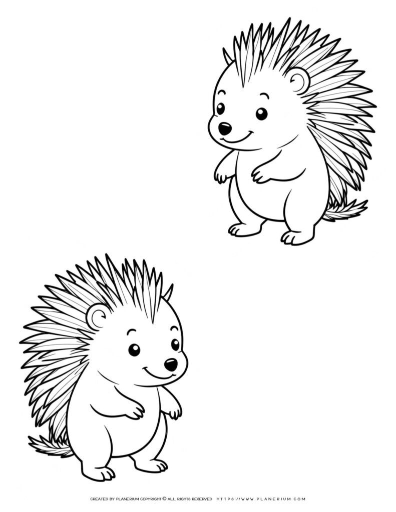 Porcupine Nursery Wall Art Prints - Set of 2 Unique Outlines