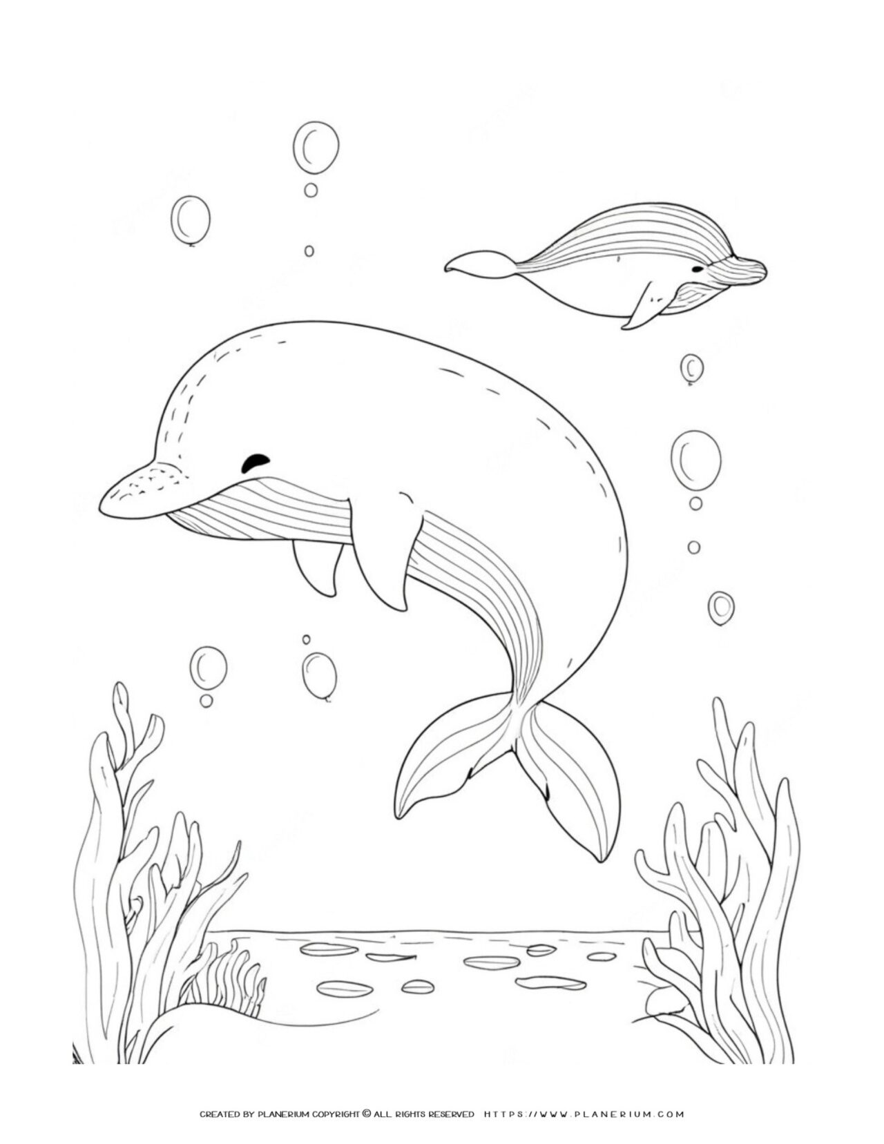 Dolphins-swimming-bubbles-seaweed-coloring-page