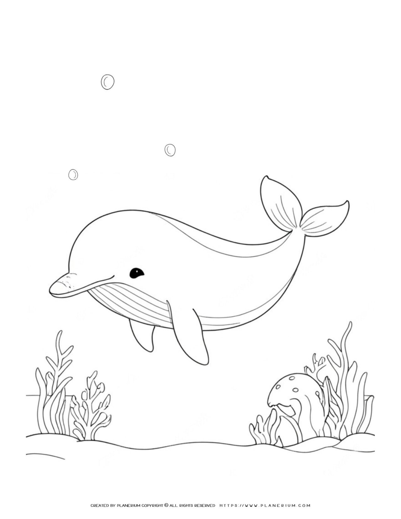 Dolphin-coloring-page-for-children