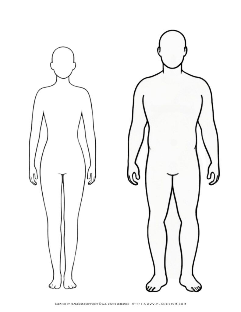 Comparing Body Engage Kids with Comparative Body Outlines Printable