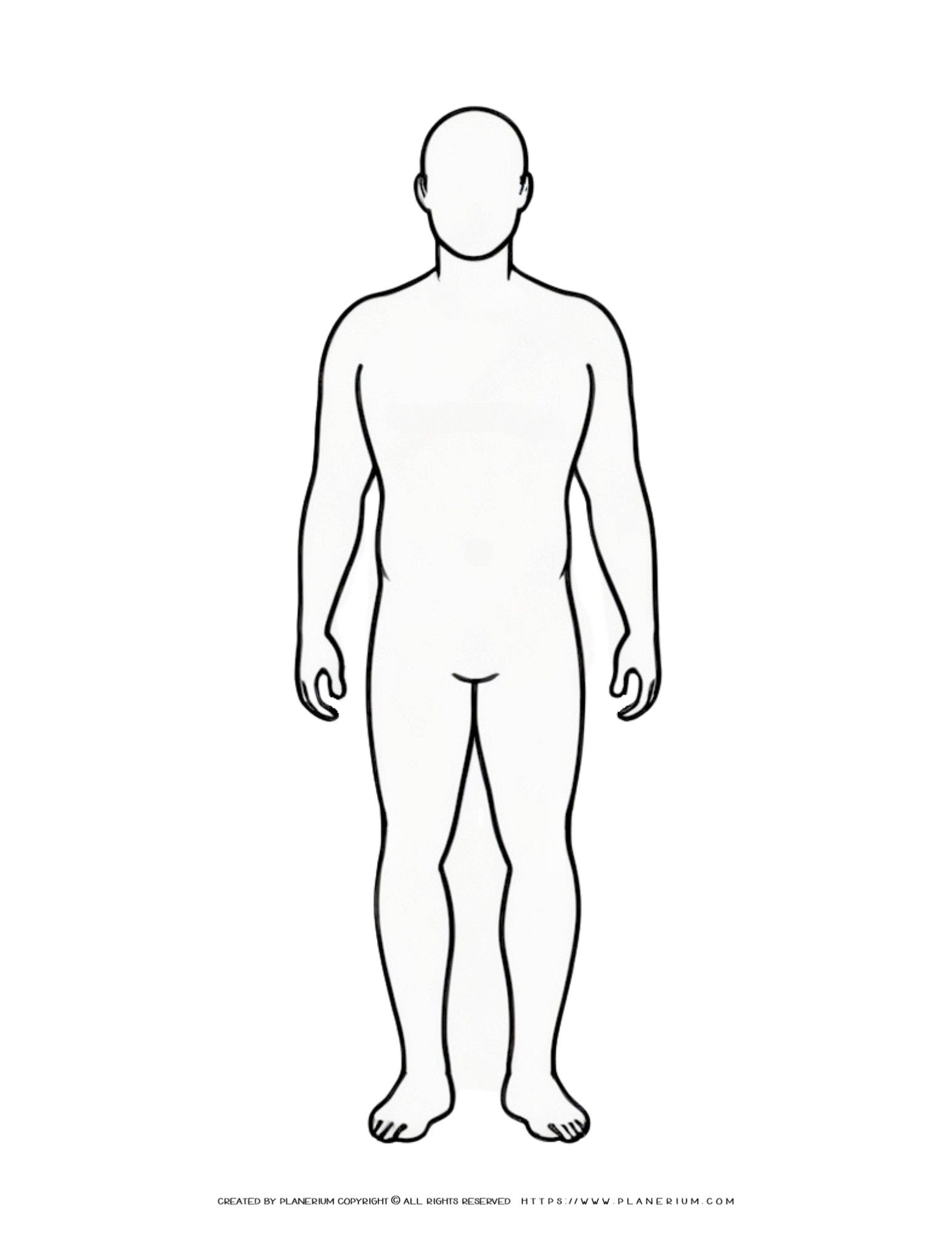 Female Body Outline Planerium Female Body Outline Planerium