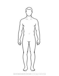 Outline of human male front view