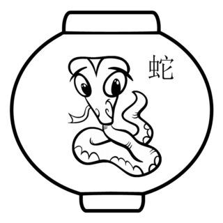 Big chinese snake lantern