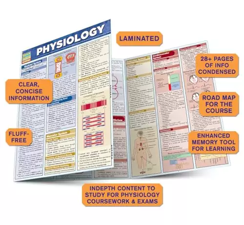 Boost Physiology Knowledge with QuickStudy Guide