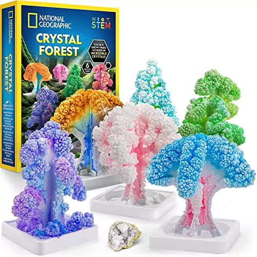 Grow 6 Crystal Trees with Nat Geo Kids Craft Kit