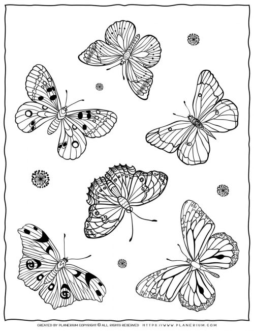 Adult Coloring Pages with Six Butterflies | Planerium