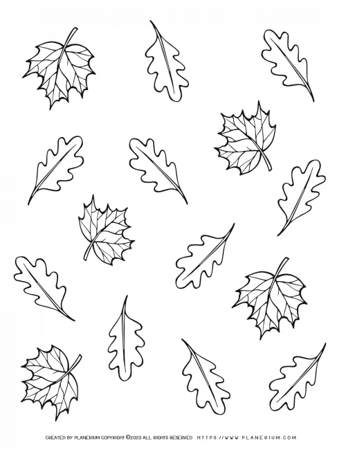 Fall Season - Coloring Page - Falling Leaves