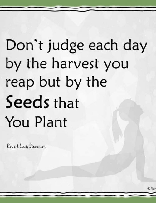 Inspirational Quotes - The Seeds That You Plant | Planerium